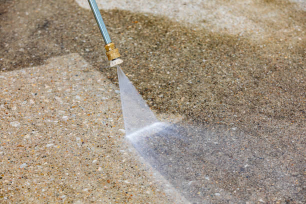 Animal Enclosure Cleaning in Vashon, WA
